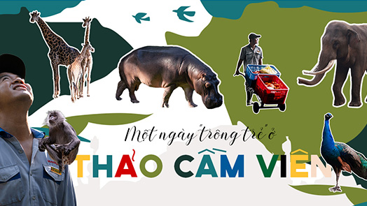 Một ngày “trông trẻ” ở Thảo Cầm Viên