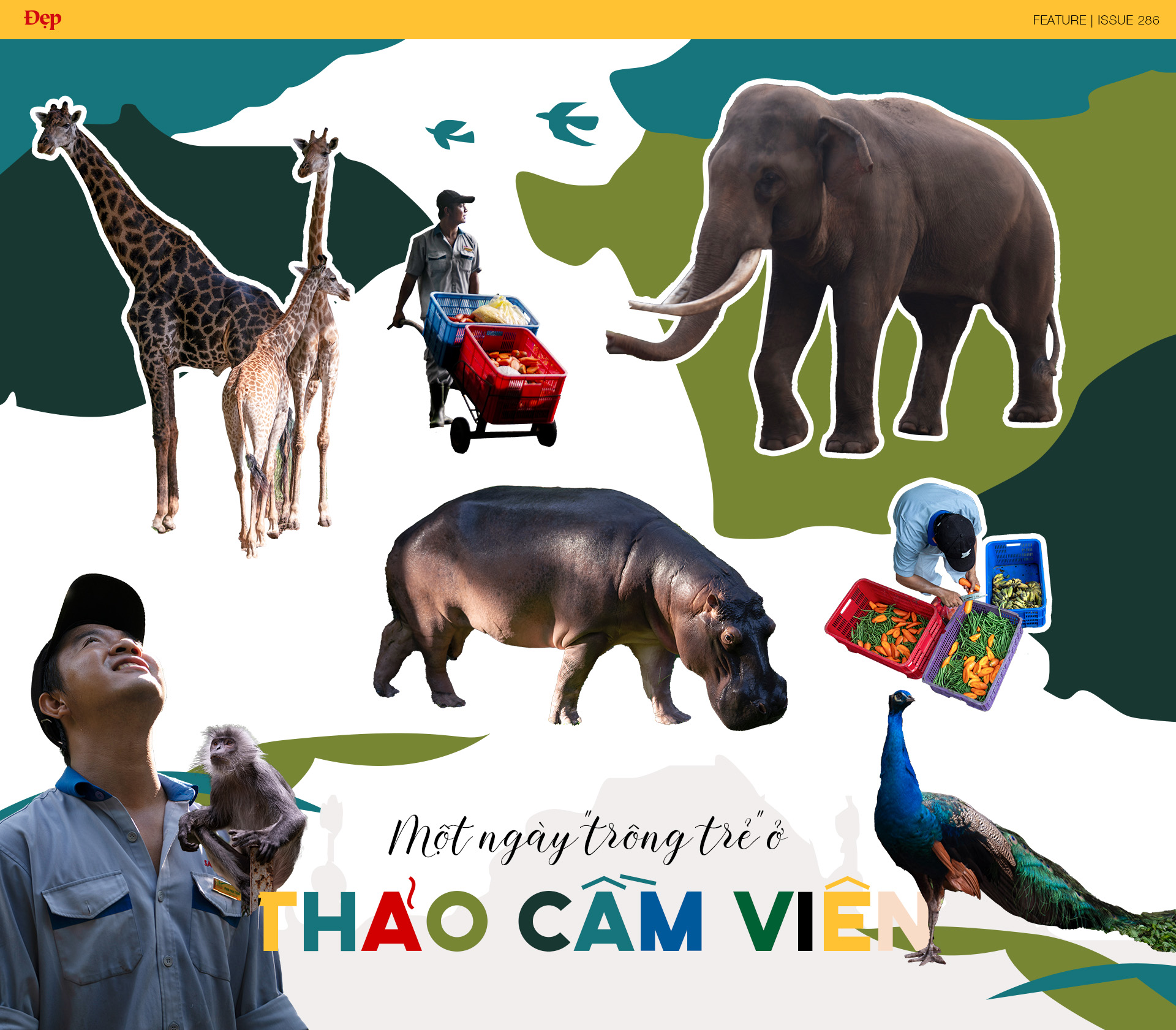 Một ngày “trông trẻ” ở Thảo Cầm Viên